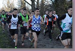 Begles 15.12.13 01 013 * 679 x 453 * (158KB)